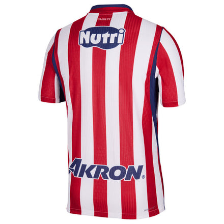 2026/27 Chivas Jersey - Fan Version